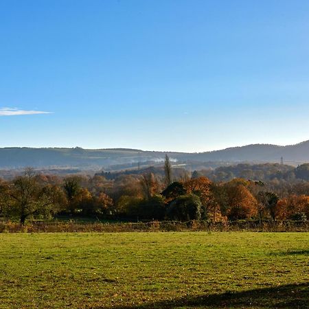 Garden Flat Near Goodwood With Stunning Views Appartement Petersfield Buitenkant foto