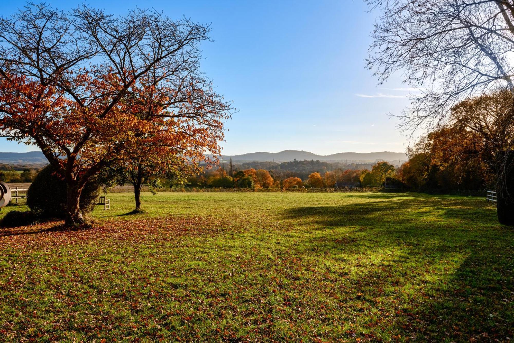 Garden Flat Near Goodwood With Stunning Views Appartement Petersfield Buitenkant foto