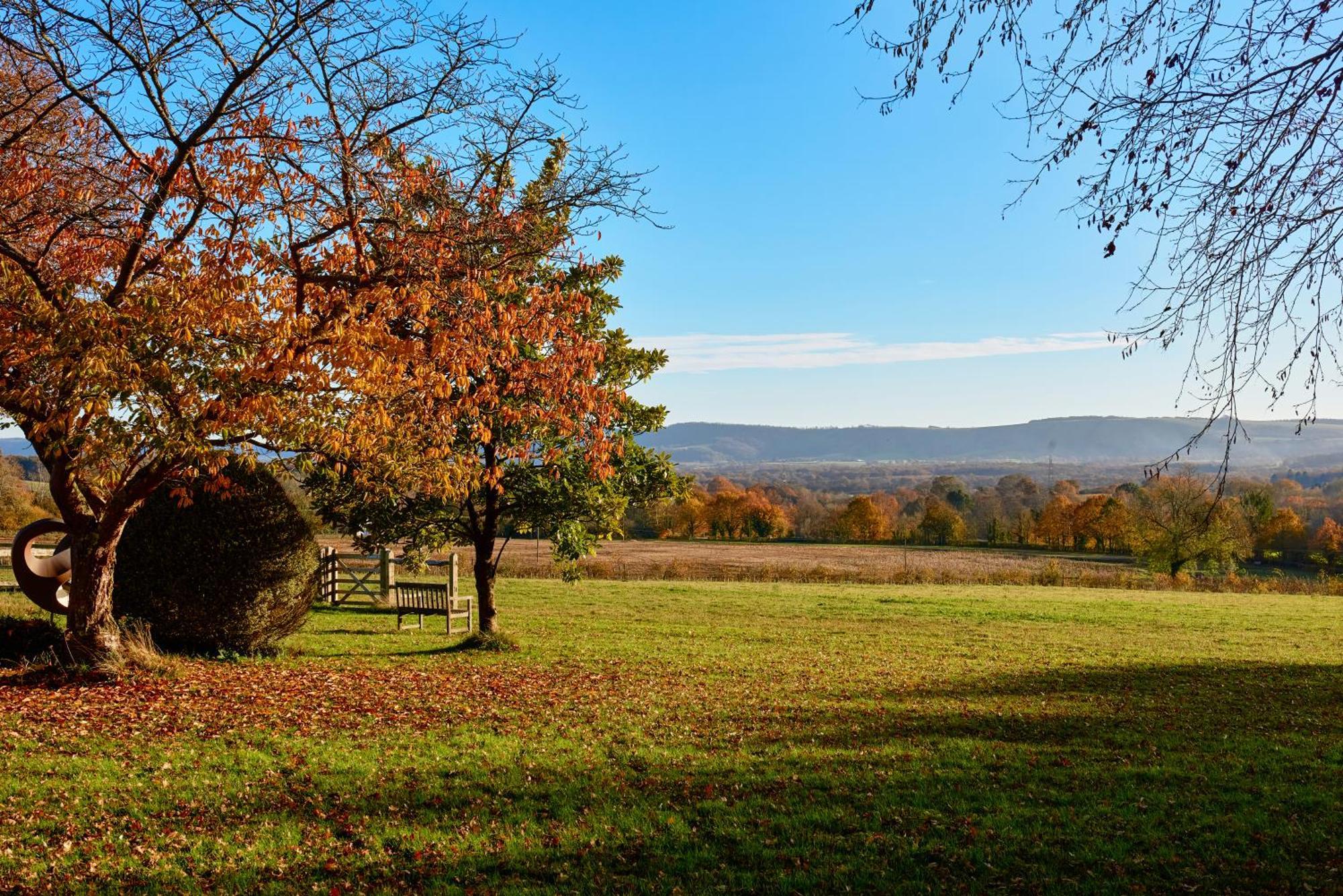 Garden Flat Near Goodwood With Stunning Views Appartement Petersfield Buitenkant foto